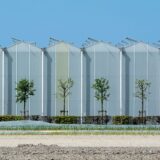 Großes lichtdurchlässiges Gewächshaus neben bewirtschafteten Feldern