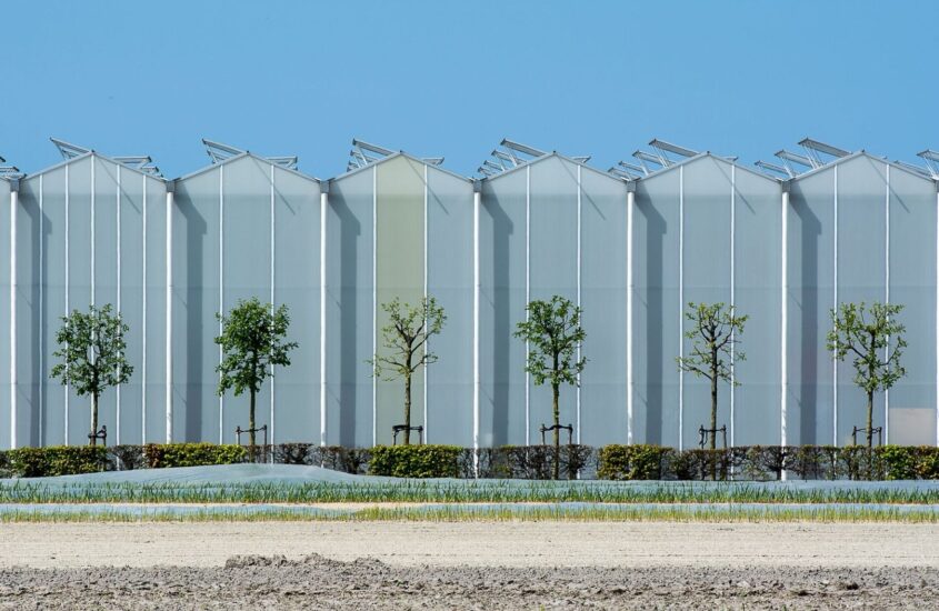 Sonne und Ernte im Einklang: Wie Agrophotovoltaik Sachsens Felder verändert